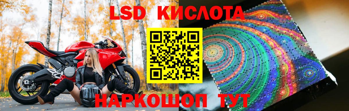 OMG зеркало  LSD-25 экстази кислота  Вход с VPN  Бердск  ЛСД экстази кислота 