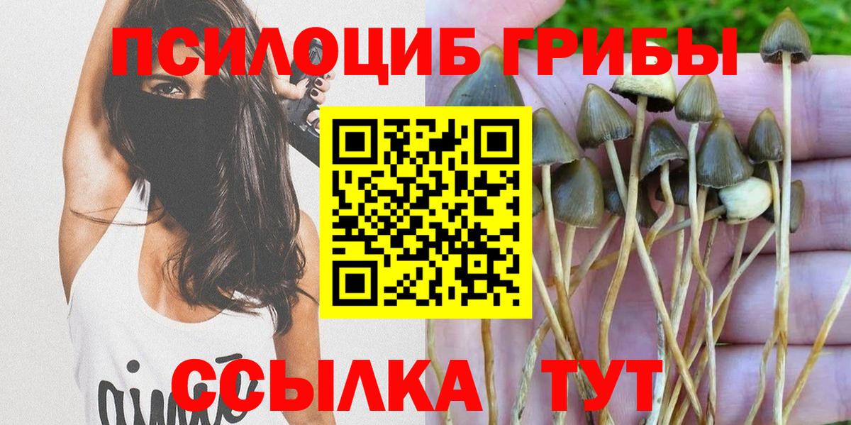 Псилоцибиновые грибы Magic Shrooms  хочу наркоту  Вход с VPN  Бердск  Галлюциногенные грибы мицелий 