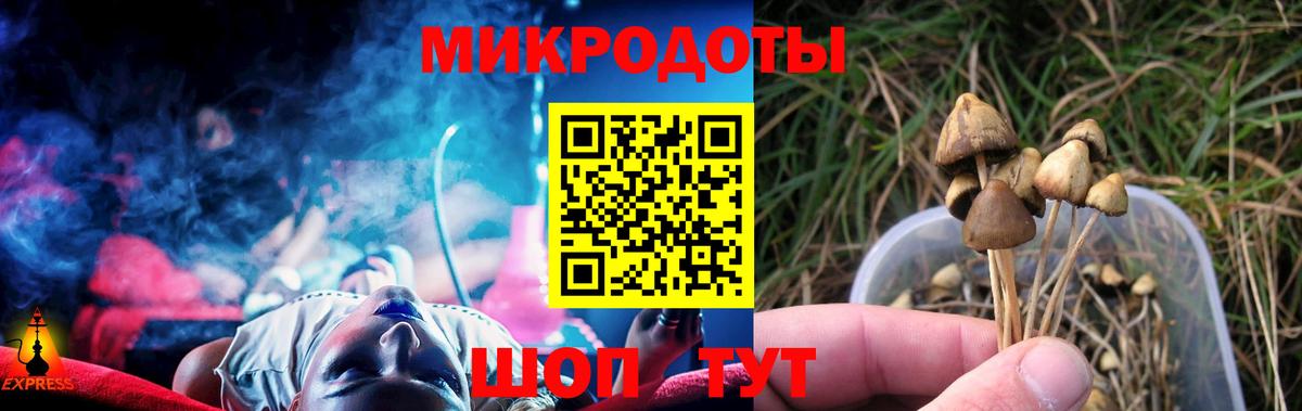 Псилоцибиновые грибы Psilocybine cubensis Бердск
